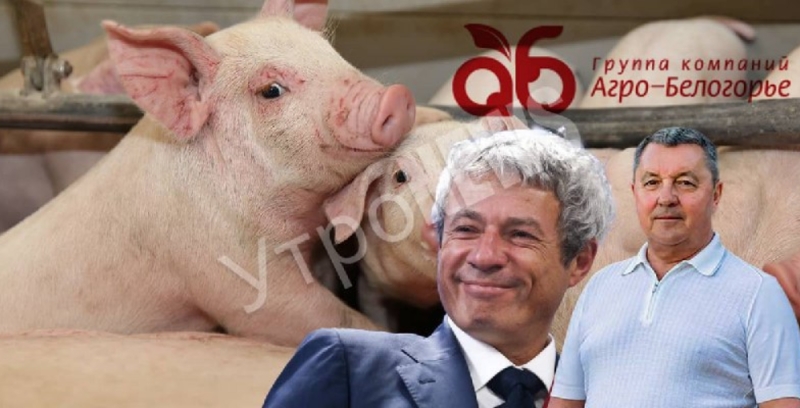 Moshkovich, Zotov and takeover in swine